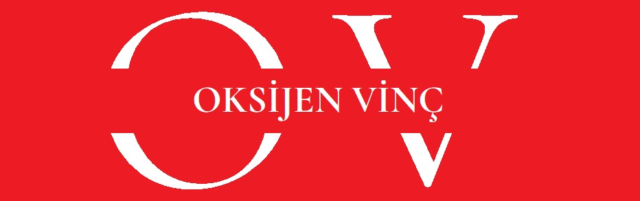 oksijenvincbursa.com